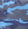 Blue Camo