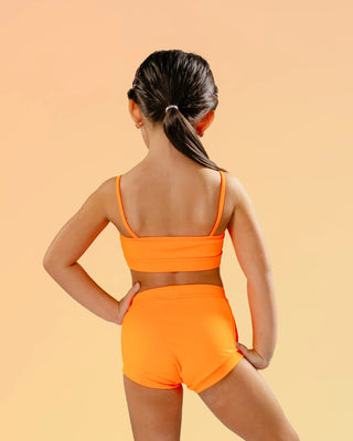 SUNBURST BRIEF