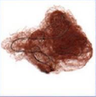 Auburn (Hair Nets)