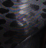 Black / Black Mystique / Cheetah
