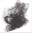 Black (Hair Nets)