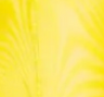 Lemon Yellow