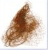 Medium Brown (Hair Nets)