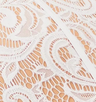 White Lace/Nude